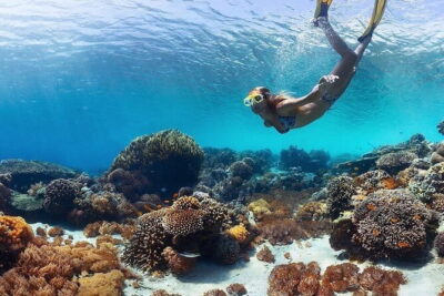 Manta Point Snorkeling & West Nusa Penida Island Day Tour - Gamat Bay: your second chance at coral, fish, and turtles