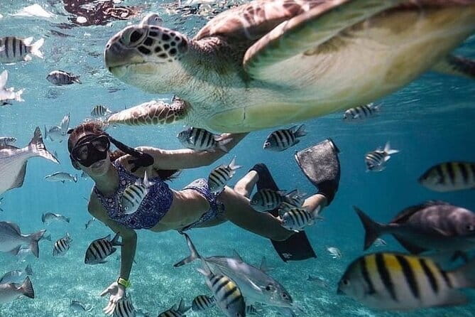 Manta Point Snorkeling & West Nusa Penida Island Day Tour - Timing, crowds, and motion sickness: how to plan the “8-hour reality”