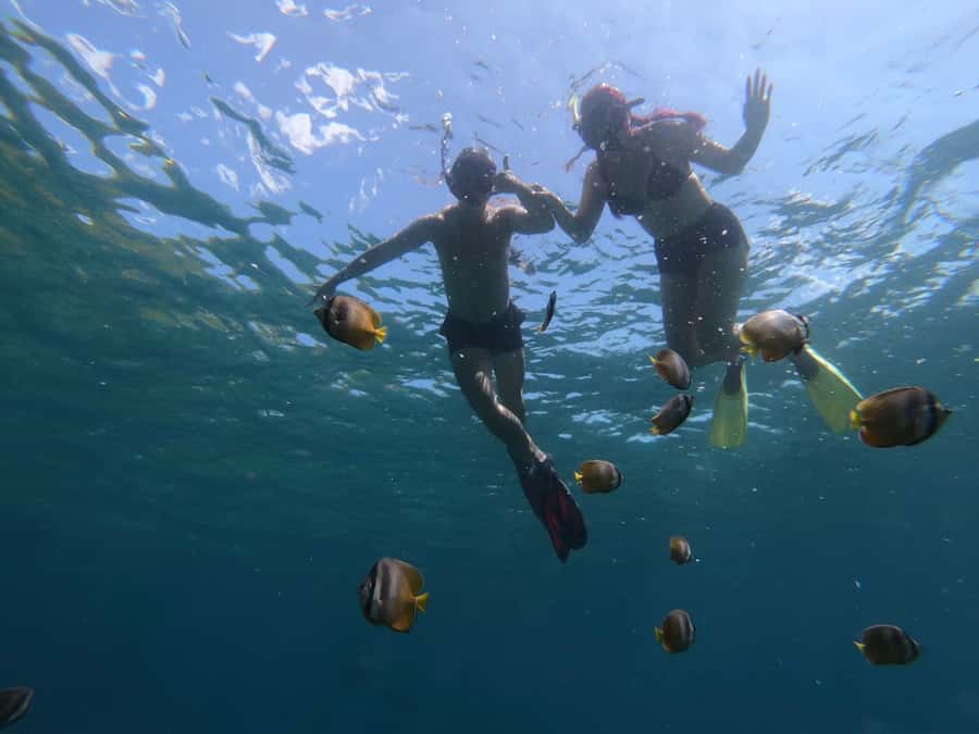 Manta Tour in Nusa Lembongan and Nusa Penida - Lunch and the Lembongan island loop: where the schedule matters