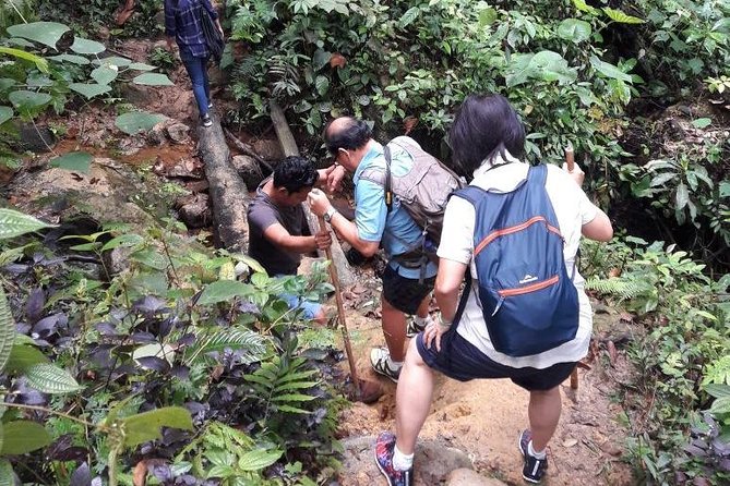 Medan - Bukit Lawang Fullday Tour - From Medan to Bukit Lawang: The Comfortable Start to a Long Day