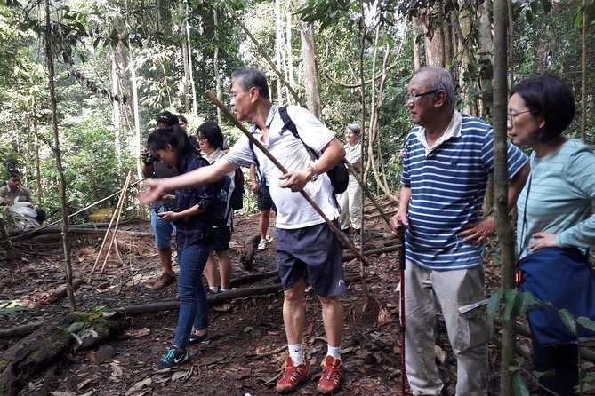 Medan - Bukit Lawang Fullday Tour - Orangutan Spotting: Your Guide’s Tracking Makes the Difference