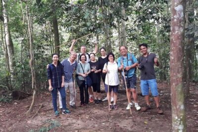 Medan - Bukit Lawang Fullday Tour - Entering the Rainforest Rhythm: Trekking in Leuser Needs Real Legs