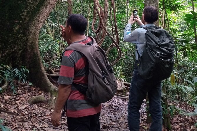 Medan - Bukit Lawang Fullday Tour - Should You Book This Medan–Bukit Lawang Full-Day Tour?