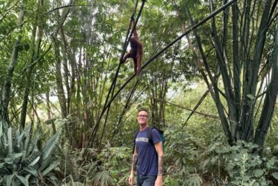 Medan: Mount Leuser National Park Full-Day Trip - Orangutan Care Center Lunch: where your expectations get set