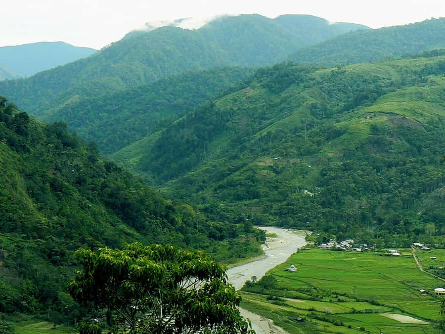 Medan: Mount Leuser National Park Full-Day Trip - How you actually spot orangutans: it’s search work, not a vending machine