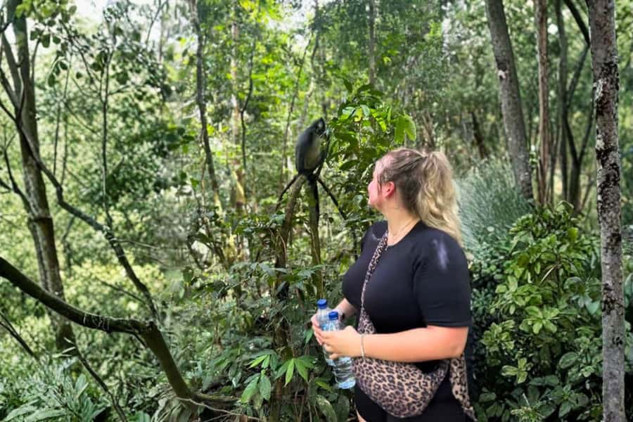 Medan: Mount Leuser National Park Full-Day Trip - Price and value: what $129 gets you from Medan