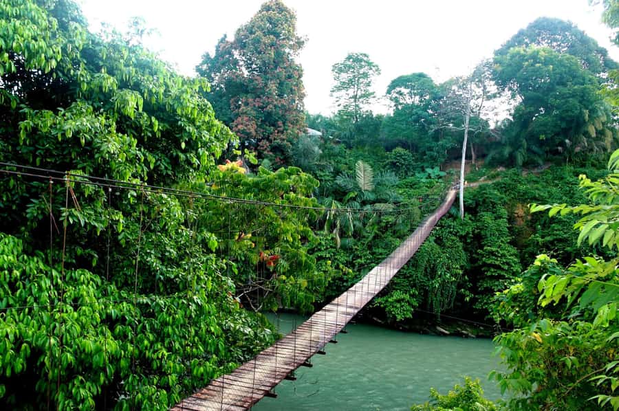 Medan: Mount Leuser National Park Full-Day Trip - Should you book the Medan to Mount Leuser full-day trip?