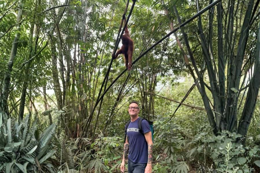 Medan: Mount Leuser National Park Full-Day Trip - Orangutan Care Center Lunch: where your expectations get set