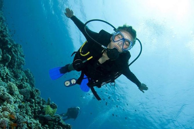 Menjangan Island Bali Diving Activity - The simple itinerary rhythm: check-in to reef time