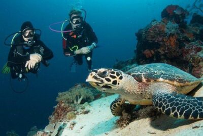 Menjangan Island Bali Diving Activity - Menjangan Island entry and the moment you gear up