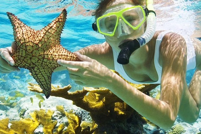Menjangan Island Bali Diving Activity - Practical tips so you don’t waste reef time