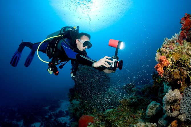 Menjangan island for Certified Scuba Divers full day boat trip, 2 dives + lunch - Stop 2 at Biorock Pemuteran: a second reef scene that adds variety
