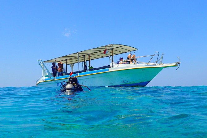Menjangan island for Certified Scuba Divers full day boat trip, 2 dives + lunch - Getting there from Pemuteran: timing and the small-group feel