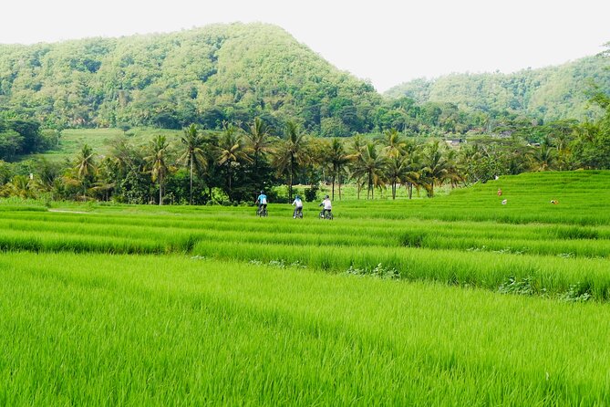 Menoreh Village Cycling - The 3-Hour Loop in Nanggulan: Distance, Pace, and How the Stops Feel