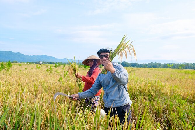 Menoreh Village Cycling - The Guide Matters: Alfat’s Culture-and-Nature Explanations