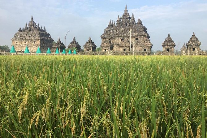 Merapi Volcano and Great Temples Tour - Plaosan Temple: the shorter stop that can feel surprisingly satisfying