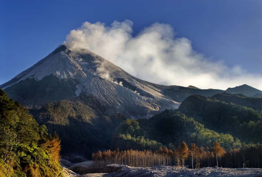 Merapi volcano sunrise with 4wd jeep and step on cold lava - Step on Cold Lava: The Moment You’ll Remember