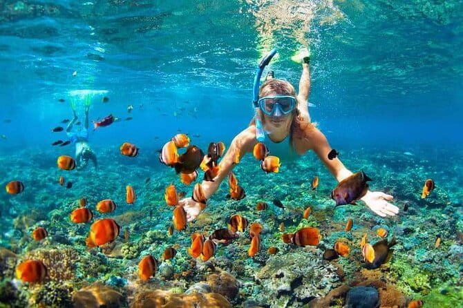 Monkey Bar and snorkling adventure at blue lagoon. - Price and value: is $70 a fair deal?