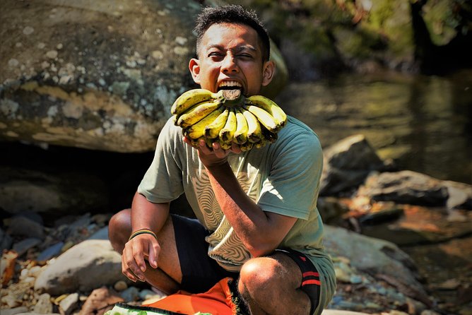 Monkey Business 2 days - 1 night Jungle Trekking (including rafting) - Why this Gunung Leuser trek beats DIY navigation