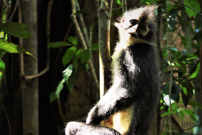 Monkey Business 2 days - 1 night Jungle Trekking (including rafting) - Price and value: what your $144.97 covers