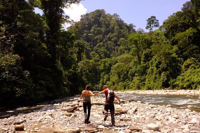 Monkey Business 3 days - 2 nights Jungle trekking (including rafting) - Day 2: waking to jungle sounds, then breakfast and continued exploration