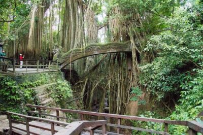 Monkey Forest Ubud Half day Tour - Monkey Forest in Central Ubud: Monkeys, Temples, and the Butterfly Park