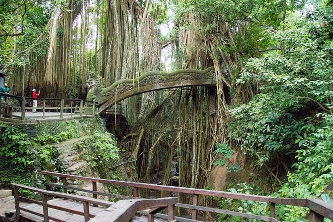 Monkey Forest Ubud Half day Tour - Monkey Forest in Central Ubud: Monkeys, Temples, and the Butterfly Park