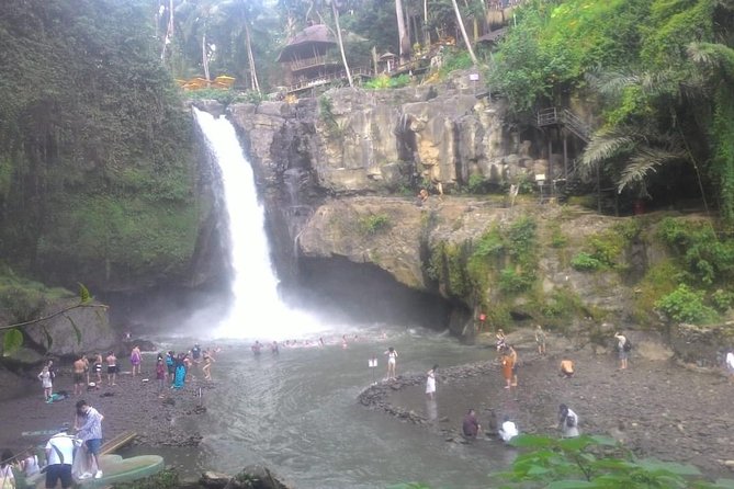Monkey Forest, Ubud, Waterfall and Rice Terrace - Uma Pakel Agro Tourism: Kopi Luwak Without the Hype