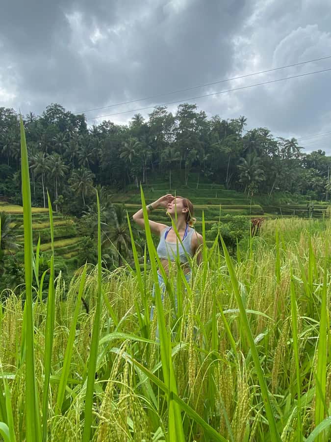 Monkey Forest, Waterfall ,Temple and Rice Terrace - Key things to know before you go