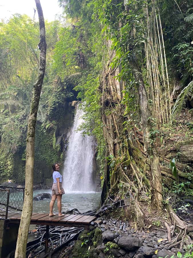 Monkey Forest, Waterfall ,Temple and Rice Terrace - Puseh Batuan Temple: sculpture details and calmer temple time