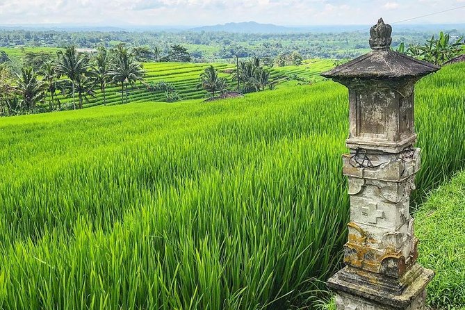 More Complete: Discover Bali In 3 Days Private Tour Package - The private guide factor: why the ride feels personal (and often photo-friendly)