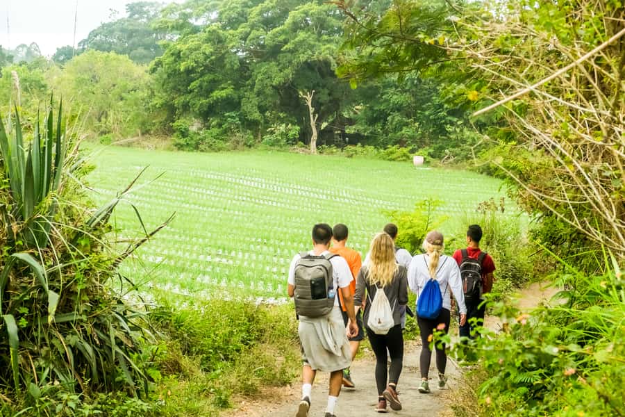 Mount Batur: 2D1N Kintamani Tour with Private Sunrise Hiking - Why an Overnight in Kintamani Changes the Whole Hike