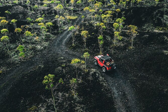 Mount Batur 4WD Jeep, Breakfast and Hot Spring All Inclusive - 4WD Jeep to Mount Batur: what the ride is really like