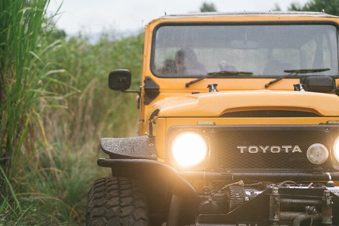 Mount Batur Black Lava Jeep Tour with Pickup - Price and value: what $40 buys (and when it might not)