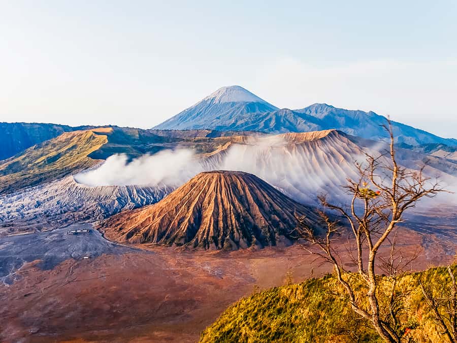 Mount Batur: Private Volkswagen Volcano Safari - Who Should Book This Safari (And Who Should Skip It)