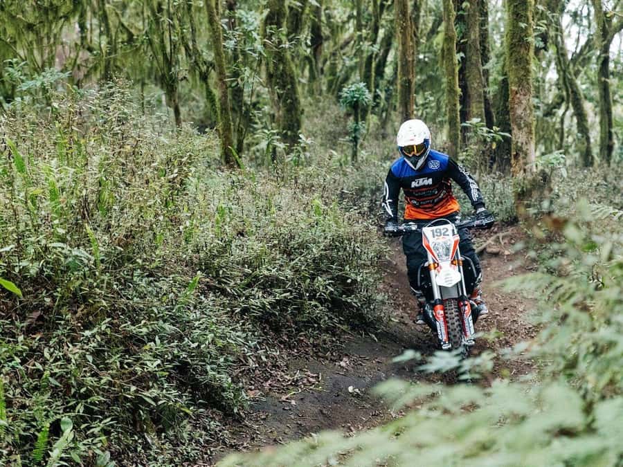 Mount Batur: Sunrise Dirt Bike Trek with Trained Riders - Optional coffee plantation stop: a calm finish after the adrenaline