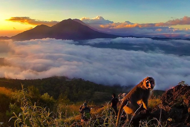Mount Batur Sunrise Trekking With Breakfas - Coffee Plantation Option and the Luwak Coffee Choice