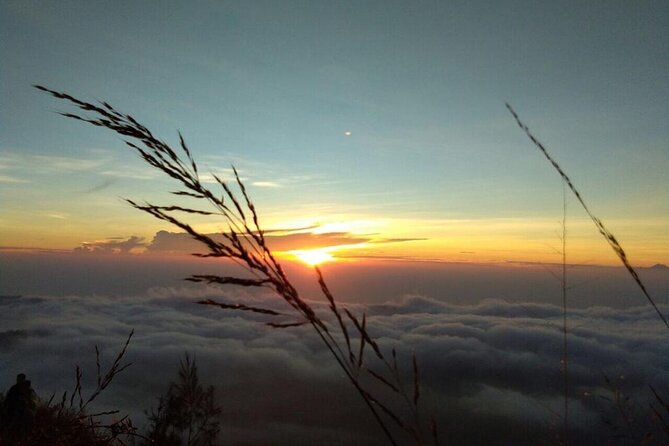 Mount Batur Sunrise Trekking with Private Guide and Breakfast - Price and value: what $23 buys when you stack the real costs