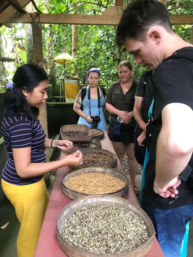 Mount Batur Sunset Trekking And Natural Hot Spring Tour - Should You Book the Mount Batur Sunset Trek + Natural Hot Springs?