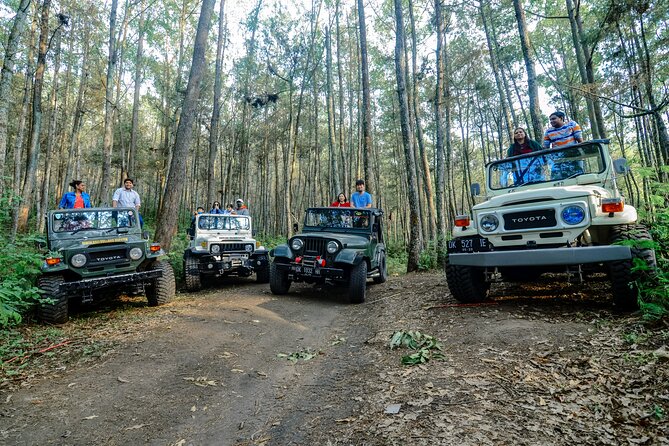 Mount Batur Trekking by 4wd Jeep - Mount Batur at sunrise: why this trek is so popular