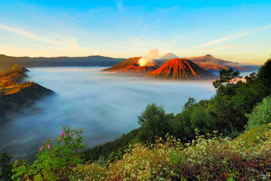 Mount Bromo, Ijen, and Blue Flames 3-Day Tour from Surabaya - Day 1 in Bromo Country: Tosari, Safety Briefing, and Settling In