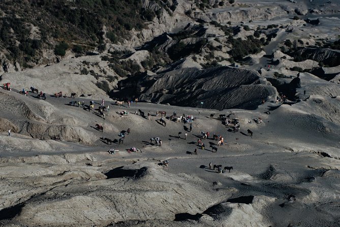 Mount Bromo Public Sunrise Tour - From Malang - Price and logistics: is $41 a good deal here?