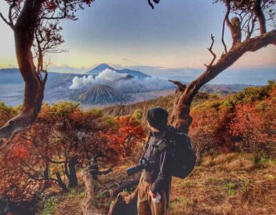 Mount Bromo Sunrise and Madakaripura Waterfall 1 Day Tour - The crater walk at Mt. Bromo: close enough to feel it