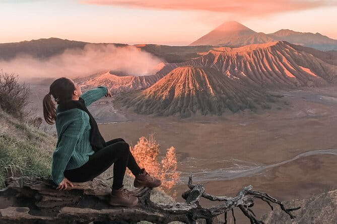 Mount Bromo Sunset Private Tour From Malang or Surabaya 1 Day - The private team: jeep, guide, and getting from Malang or Surabaya