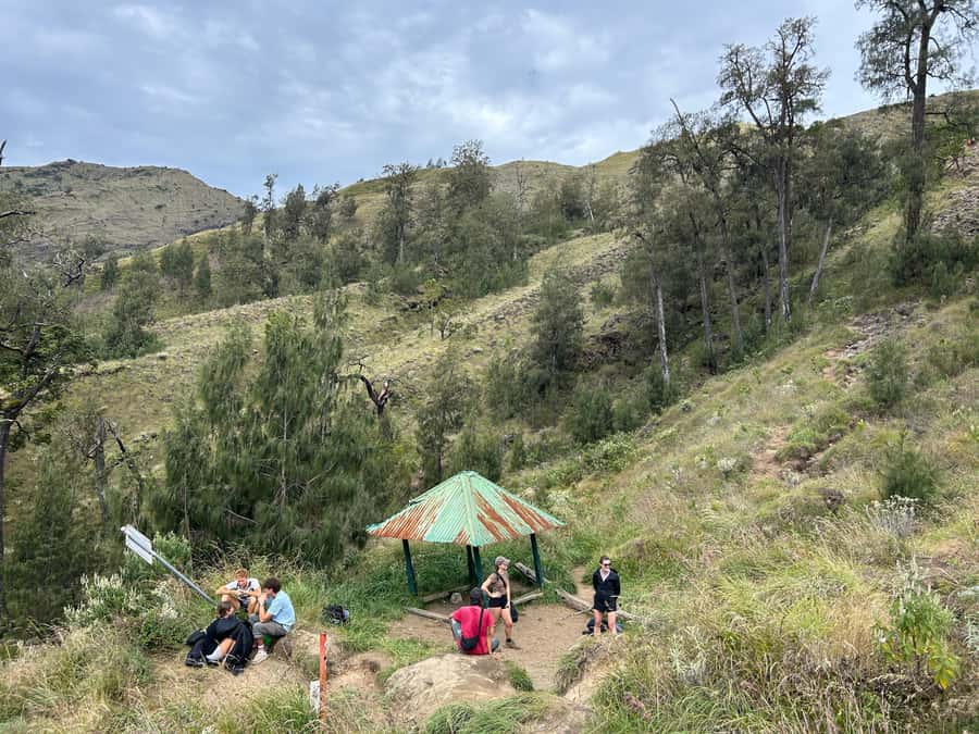 Mount Rinjani: 2D-1N Trekking Summit Sunrise Point Join Tour - Support on the ground: guide, crew, and meal quality