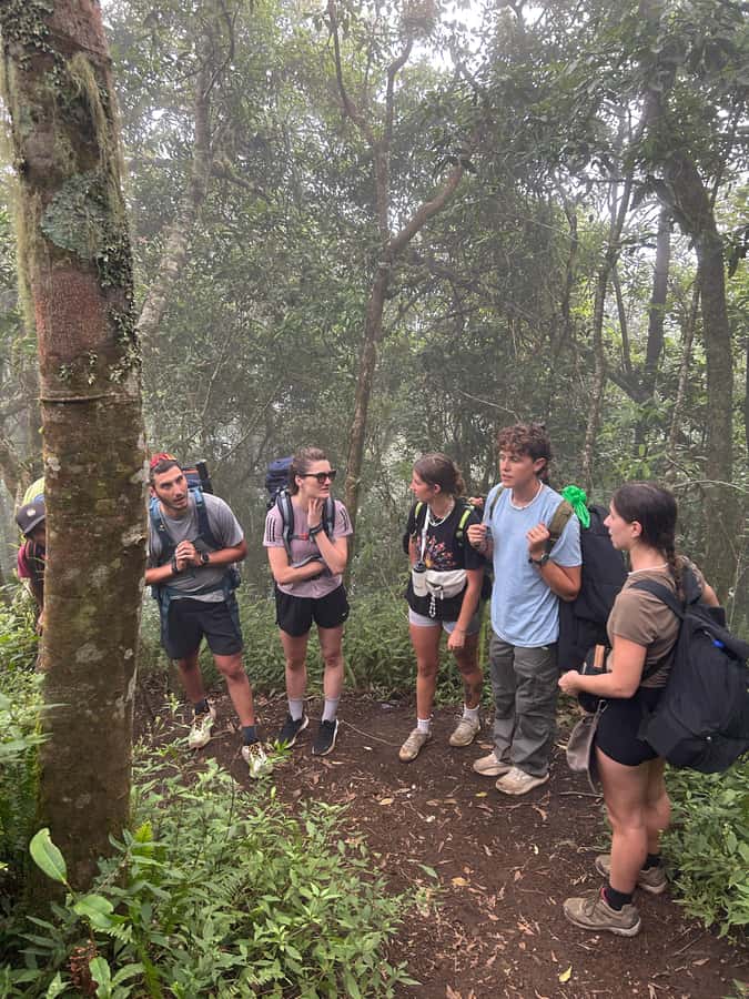 Mount Rinjani: 2D-1N Trekking Summit Sunrise Point Join Tour - Is this sunrise summit worth it? My honest decision guide