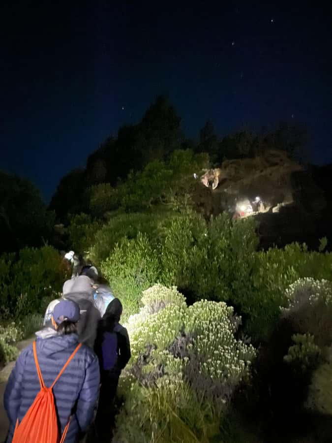 Mount Rinjani: 2D-1N Trekking Summit Sunrise Point Join Tour - Day 1 details: Sembalun to the crater rim campsite