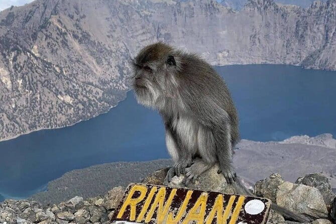 Mount Rinjani 2D 1N trekking to summit - Guides and porters: what makes the trek feel manageable