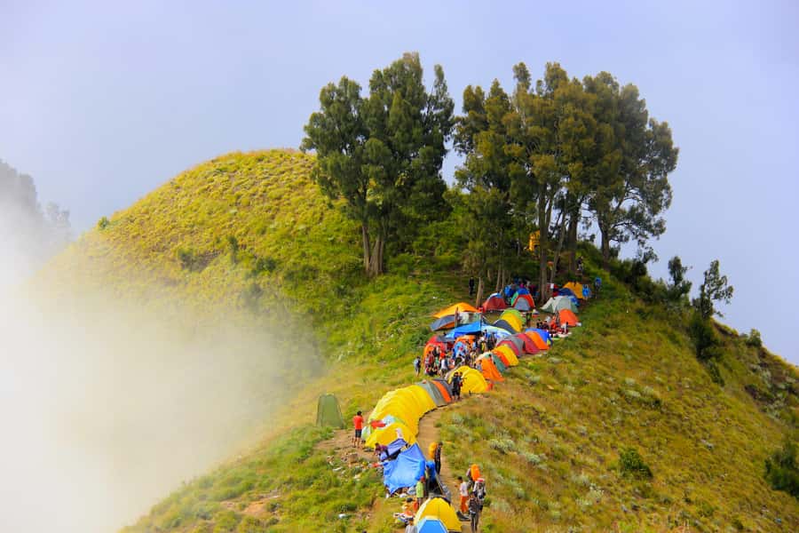 Mount Rinjani: 3D/2N Trekking to Summit, Lake and Hot Spring - Senaru to the rim: rainforest hiking with monkeys and plantation views