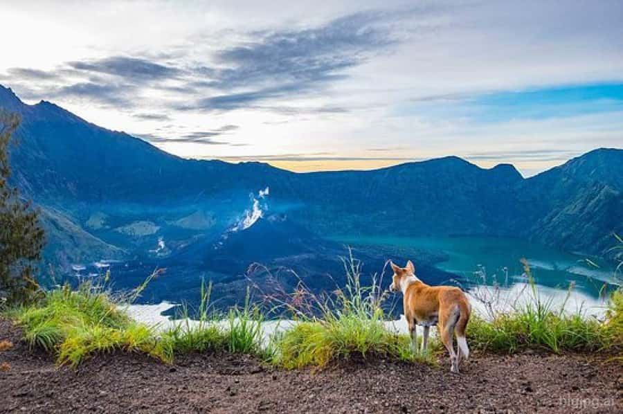mount rinjani One day trek - Price and value: is $138 fair for a one-day Rinjani climb?